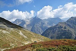 Face est du pic Petarel avec le sommet de l'Oban au fond (Parc national des Ecrins)