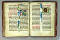 Reims gospel (14th century)