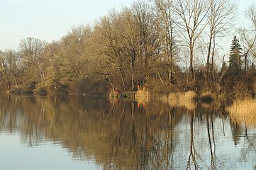 Naherholung (alter Rhein bei Hohenems)