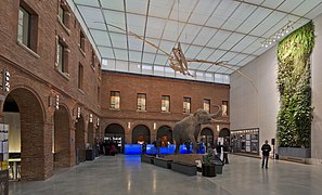 Grand Carré, muséum de Toulouse