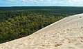 Le versant est de la dune du Pilat et l’immense étendue de la pinède de la Teste-de-Buch.