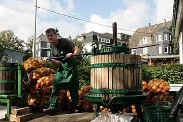 Cider-pressing at Lüttringhausen, Germany