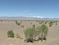 Gobi desert