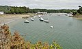 La ria du Bélon et le port de Bélon (en Riec-sur-Bélon) vus depuis la pointe de Porscouric à marée basse.