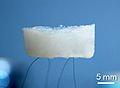 boron nitride aerogel