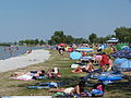 Badestrand in Podersdorf