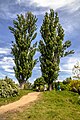 National M. M. Grishko botanical garden