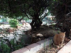 Alexandria Zoo , photo by Hatem Moushir 27.jpg