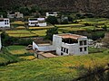 Typical white-walled, cubical houses of Xiangcheng valley