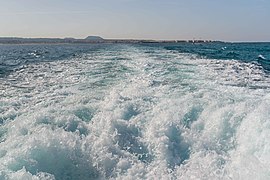 Going to Lobos Island February 2016-9234 - panoramio.jpg