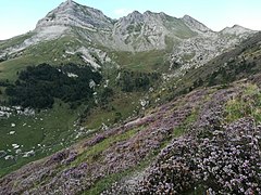 Camino de los Contrabandistas - Lakartxela IMG 20190831 0953.jpg