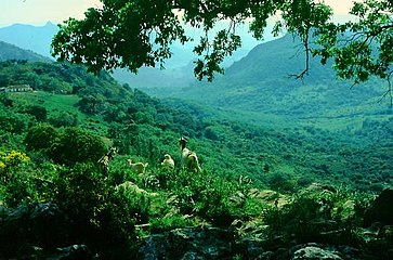 Sierra de Grazalema, Cádiz