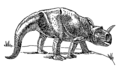 Centrosaurus (historical restoration)