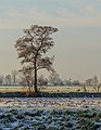 Omkromte Broek, gemeente De Fryske Marren