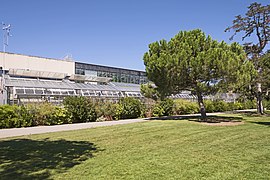 Museum of Toulouse. Jardin Henri Gaussen – Greenhouses, Lane "Claudine Sudre"