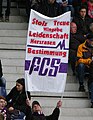 Heimspiel gegen Austria Wien