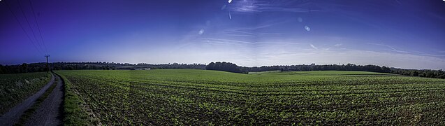 A part of Mettmann - panoramio (10).jpg