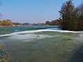 oberer Vogelstangsee - zugefrohren