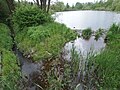 outflow out of the Bauchenberg pond