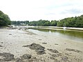 La partie amont de la ria du Bélon à marée basse.