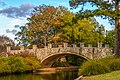 79 Rose Garden - NATO Vista Bridge 3 NBG LR uploaded by PumpkinSky, nominated by PumpkinSky