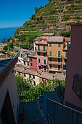 Small houses in Manarola, Cinque Terre, Italy.jpg