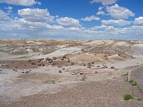 Petrified Forest National Park