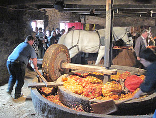 Horse-driven apple crusher in Jersey