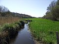 Sentier du Loc'h : le ruisseau.