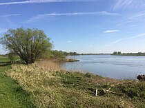 IJssel near Scherenwelle (between Wilsum and Kampen)