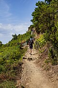 Trail 586 Vineyards Volastra Hikers Cinque Terre Sep23 R16 07500.jpg