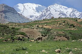 عکس های روستای خفر در سمیرم (خفر پادنا) khafr village In iran- Isfahan Province 43.jpg