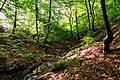 Riis Skov Forest in Town Aarhus in Denmark in May 2019