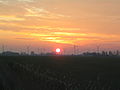 Wind turbines at dawn, close to Wesselburen