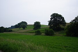 A part of Mettmann - panoramio (7).jpg