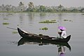 Fisher in the backwaters in Kerala