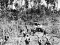 The Assault on Biak, Infantrymen Moving Up - May 1944