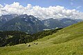 English: Haymaking on the Mussen alp with view at the Lesachtal Deutsch: Heuernte auf der Mussen mit Blick auf das Lesachtal
