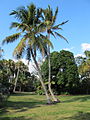 Fairchild Tropical Botanic Garden, USA