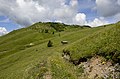 English: East view at the Mussen alp Deutsch: Ost-Ansicht der Mussen-Alm