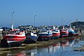 Fishing vessels in the harbour of Roscoff, Finistère