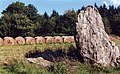 Menhir et au pied, partie cassée par la foudre