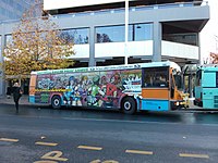 An ACTION bus painted with an ad for the Canberra Roller Derby League