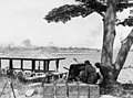 Australian anti-tank gunners overlooking the Johore Causeway between Singapore and Malaya on 1 February 1942