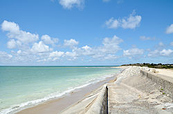 Côte Sauvage à l'île de Ré