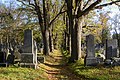 "Wien_Zentralfriedhof_Allee_A_20221111_01.jpg" by User:Uoaei1