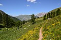 On the GR5 hiking route near the Col du Vallonnet