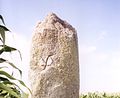 Menhir Mesdoum, Lanildut, Finistère