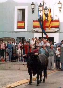 "Bous al carrer".