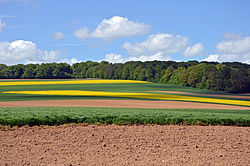 Paysage de la vallée de l'Authie vers Doullens